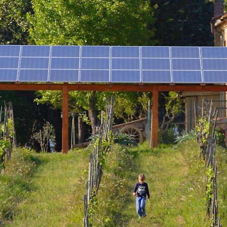 Vila Agriturismo Le Volpaie San Gimignano Exteriér fotografie
